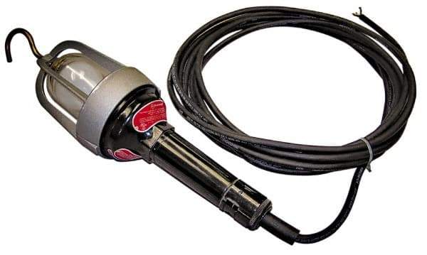 Made in USA - 100 Watt, Electric, Incandescent Portable Hook Work Light - 50' Cord, 1 Head, 900 Lumens - Exact Industrial Supply