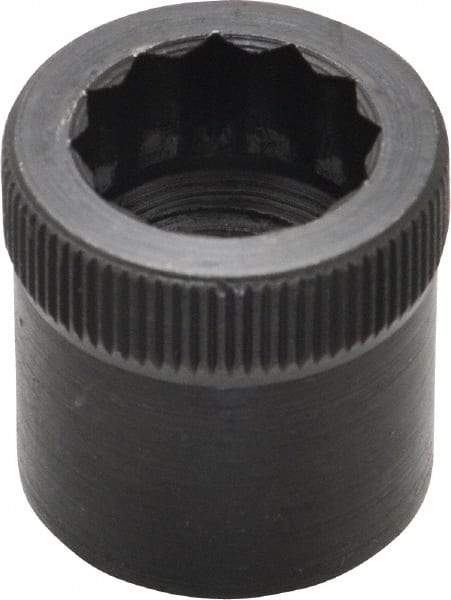 Holo-Krome - 1/2-13" Thread Uncoated Steel Allen Nut - 1/2" Diam, 1/2" Hex Key - Exact Industrial Supply
