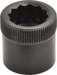 Holo-Krome - 3/4-10" Thread Uncoated Steel Allen Nut - 3/4" Diam, 3/4" Hex Key - Exact Industrial Supply