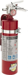 Buckeye Fire - 2.5 Lb, 1-A:10-B:C Rated, Dry Chemical Fire Extinguisher - Exact Industrial Supply