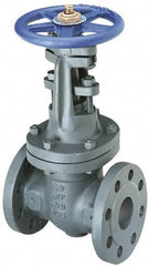 NIBCO - 2" Pipe, Class 250, Flanged Iron Solid Wedge OS & Y Gate Valve - 500 WOG, 250 WSP, Bolted Bonnet - Exact Industrial Supply