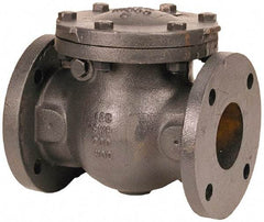 NIBCO - 4" Cast Iron Check Valve - Flanged, 200 WOG - Exact Industrial Supply