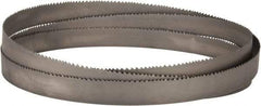 Lenox - 4 to 6 TPI, 11' 6" Long x 1-1/4" Wide x 0.042" Thick, Welded Band Saw Blade - Bi-Metal, Toothed Edge, Raker Tooth Set, Flexible Back - Exact Industrial Supply