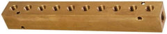 Made in USA - 1/4" Inlet, 1/8" Outlet Manifold - 7-3/4" Long x 1" Wide x 1" High, 0.17" Mount Hole, 2 Inlet Ports, 10 Outlet Ports - Exact Industrial Supply