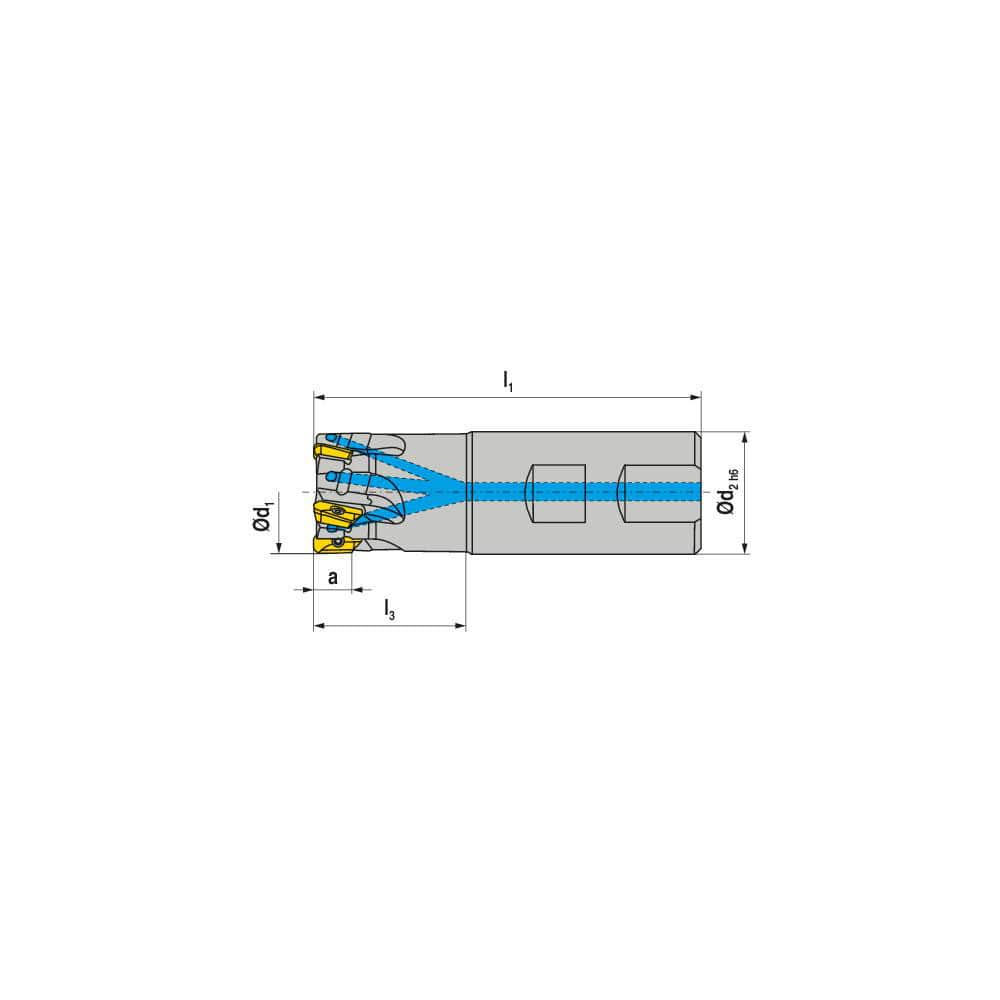 Indexable Square-Shoulder End Mill:  C211125R0315B150EF400,  1.2500'' Cut Dia,  0.5510'' Max Depth of Cut,  1.2500'' Shank Dia,  Weldon Flat Shank Uses  3,  Normal Pressure,