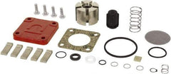 Tuthill - Repair Part Kit - For Use with Diaphragm Pumps - Exact Industrial Supply