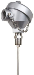 Thermo Electric - -148 to 900°F, 100 OMS Industrial RTD, Thermocouple Probe - 1/2 Inch Hex Mount, 12 Inch Probe Sheath Length, 10 Sec Response Time - Exact Industrial Supply