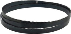 Starrett - 6 TPI, 7' 9" Long x 3/4" Wide x 0.032" Thick, Welded Band Saw Blade - Carbon Steel, Toothed Edge, Raker Tooth Set, Flexible Back, Contour Cutting - Exact Industrial Supply