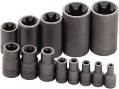 SK - 13 Piece 1/4, 3/8 & 1/2" Drive Standard Socket Set - 6 Points, E4 to E24 Torx, Torx Measurement Standard - Exact Industrial Supply