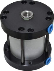 Parker - 2" Stroke x 2" Bore Double Acting Air Cylinder - 1/8 Port, 1/2-20 Rod Thread, -10 to 200°F - Exact Industrial Supply