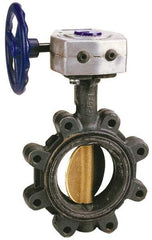 NIBCO - 3" Pipe, Lug Butterfly Valve - Gear Handle, Ductile Iron Body, EPDM Seat, 200 WOG, Aluminum Bronze Disc, Stainless Steel Stem - Exact Industrial Supply