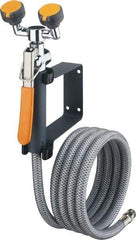 PRO-SAFE - Plumbed Drench Hoses Mount: Wall Style: Dual Spray Head - Exact Industrial Supply