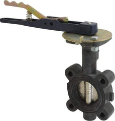 NIBCO - 2" Pipe, Lug Butterfly Valve - Lever Handle, Ductile Iron Body, EPDM Seat, 250 WOG, Ductile Iron Disc, Stainless Steel Stem - Exact Industrial Supply