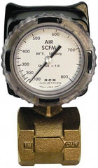 Made in USA - 2" NPT Port RCM Industries Flo-Gage Flowmeter - 180 Max psi, Bronze - Exact Industrial Supply