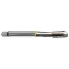 1-1/2-6 2B 4-Flute Cobalt Yellow Ring Spiral Point Plug Tap-Bright - Exact Industrial Supply