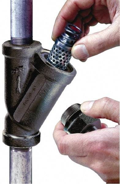 Flow Ezy Filters - 1-1/2 NPT Thread, 149 Micron, 6" Outside Diam, 7-1/2" Long, Stainless Steel Wire Cloth Media, Filter Assembly - Epoxy Coated Cast Iron - Exact Industrial Supply