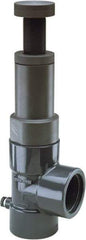 Hayward - 3/4" Pipe, Threaded Ends, PVC Pressure Regulating Valve - FPM Seal, 5 to 75 psi - Exact Industrial Supply