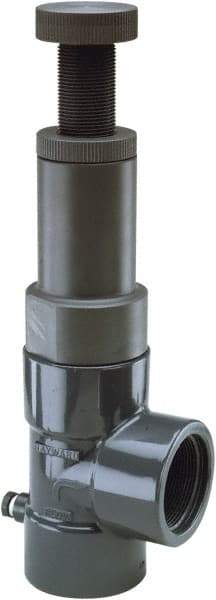 Hayward - 2" Pipe, Threaded Ends, PVC Pressure Regulating Valve - FPM Seal, 5 to 75 psi - Exact Industrial Supply