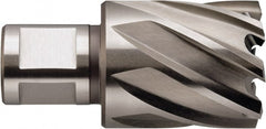 Fein - 3/4" Diam x 1" Deep High Speed Steel Annular Cutter - Exact Industrial Supply