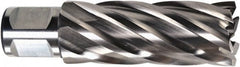 Fein - 1-1/16" Diam x 2" Deep High Speed Steel Annular Cutter - Exact Industrial Supply