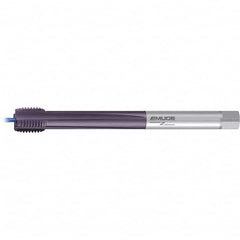 Emuge - Extension Taps Thread Size: M33x3.50 Overall Length (mm): 290.00 - Exact Industrial Supply