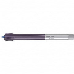 Emuge - Extension Taps Thread Size: M42x4.5 Overall Length (mm): 340.00 - Exact Industrial Supply