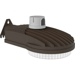 Hubbell Lighting - Parking Lot & Roadway Lights Fixture Type: Roadway Light Lamp Type: LED - Exact Industrial Supply