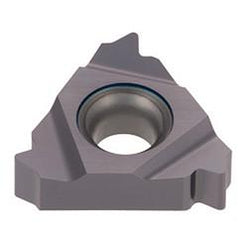 16ER10RAPI AH725 TUNGTHRD INS LD G - Exact Industrial Supply