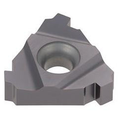 22ER5BAPI AH725 TUNGTHREAD INS LD G - Exact Industrial Supply