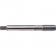 Emuge - Thread Forming STI Taps Thread Size (Inch): #4-48 Class of Fit: 2B - Exact Industrial Supply