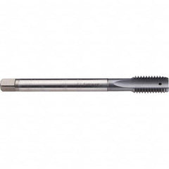 Emuge - M14x1.50 Metric Fine 6H 0 Flute TiCN Finish Cobalt Spiral Point Tap - Exact Industrial Supply