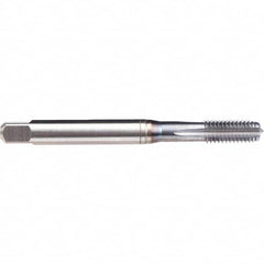 Emuge - M4x0.70 Metric 6H 0 Flute TiCN Finish Powdered Metal Machine Tap - Exact Industrial Supply