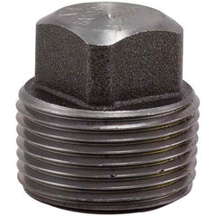 Merit Brass - Black Pipe Fittings; Type: Square Plug ; Fitting Size: 2-1/2 (Inch); End Connections: Male NPT ; Classification: 3000 ; Material: Carbon Steel ; Finish/Coating: Mill/Oil - Exact Industrial Supply