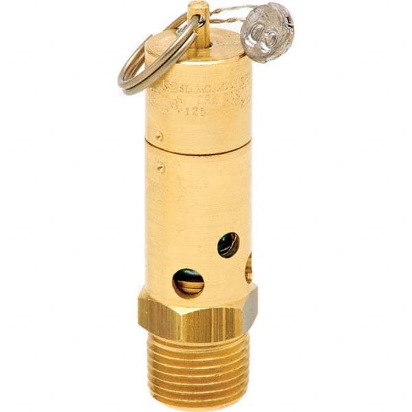 Control Devices - 1/2" Inlet, ASME Safety Valve - Exact Industrial Supply