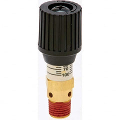 Control Devices - 1/4" Inlet, ASME Safety Valve - Exact Industrial Supply