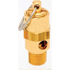 Control Devices - 1/8" Inlet, ASME Safety Valve - Exact Industrial Supply