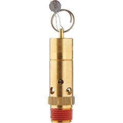 Control Devices - 1/2" Inlet, ASME Safety Valve - Exact Industrial Supply