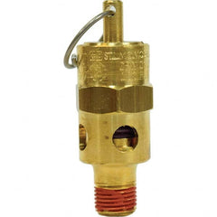 Control Devices - 1/8" Inlet, ASME Safety Valve - Exact Industrial Supply