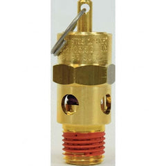 Control Devices - 1/4" Inlet, ASME Safety Valve - Exact Industrial Supply