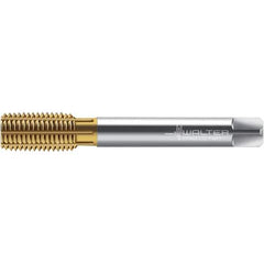 Walter-Prototyp - M12x1.75 DIN 2174 6GX 11.220 Thread Limit Bottoming Thread Forming Tap - Powdered Metal High Speed Steel, TiN Finish, 110mm OAL, 16mm Thread Length, Right Hand Thread, Series TC420 - Exact Industrial Supply