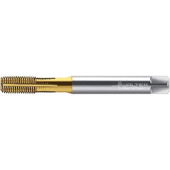 Walter-Prototyp - M8x1.25 DIN 2174 6HX 7.490 Thread Limit Semi-Bottoming Thread Forming Tap - Powdered Metal High Speed Steel, TiN Finish, 90mm OAL, 12mm Thread Length, Right Hand Thread, Series TC430 - Exact Industrial Supply