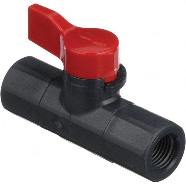 Asahi/America - 1/4" Pipe, Full Port, PVC Ball Valve - 1 Piece, FNPT x FNPT Ends, Tee Handle, 150 WOG - Exact Industrial Supply