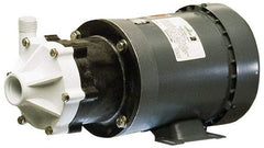 Little Giant Pumps - 1/3 HP, 40-1/2 Shut Off Feet, Magnetic Drive Pump - 1 Phase, 60 Hz - Exact Industrial Supply