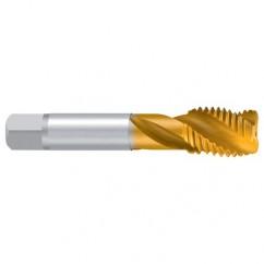 M12–6H ENORM-VA TiN Sprial Flute Tap - Exact Industrial Supply