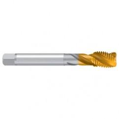 M16-ISO2/6H 2ENORM TiN Sprial Flute Tap - Exact Industrial Supply