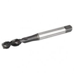 GT825010 NO 2-56 H2 2FL RHSF SBOTDI - Exact Industrial Supply