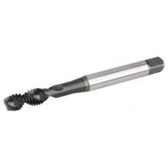 GT825010 NO 2-56 H2 2FL RHSF SBOTDI - Exact Industrial Supply