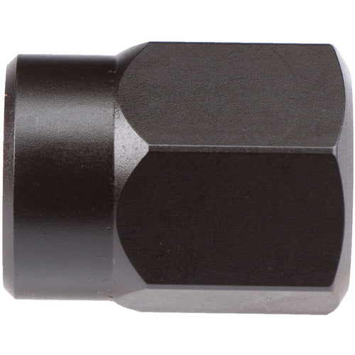 101 EXTENDER W/HEX NUT