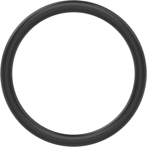 2SR O-RING 10 PACK ACCESSORY - Exact Industrial Supply