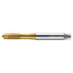 TC216-M8X1.25 6H WY80AA HS SPPT TAP - Exact Industrial Supply